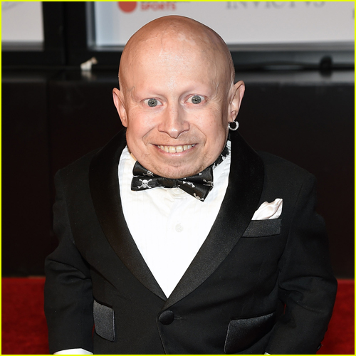 Jingle All the Way Cast