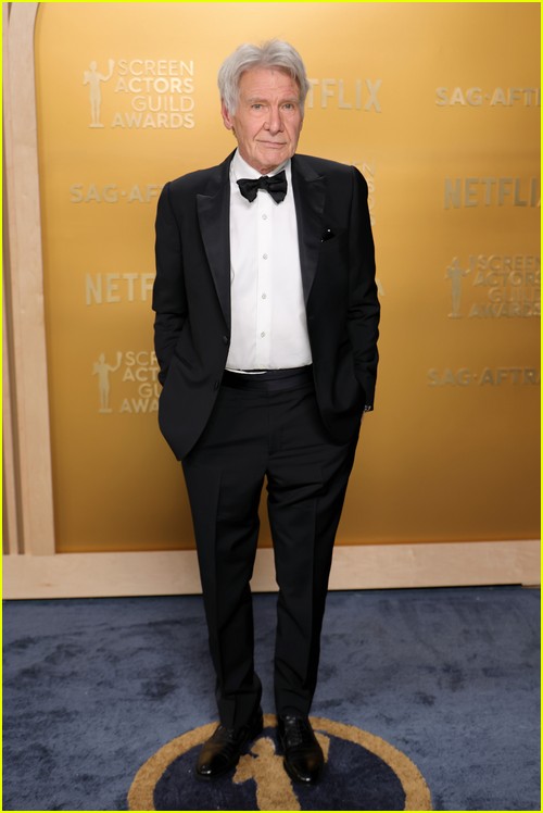 SAG Awards red carpet