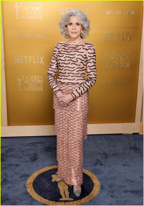 SAG Awards red carpet