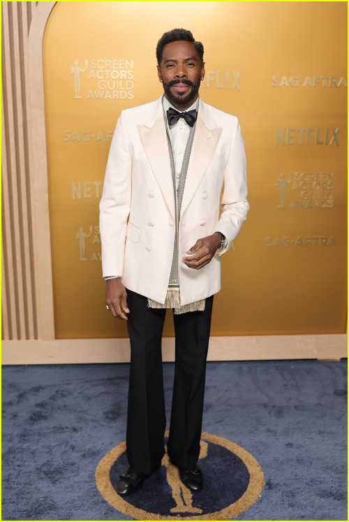 SAG Awards red carpet