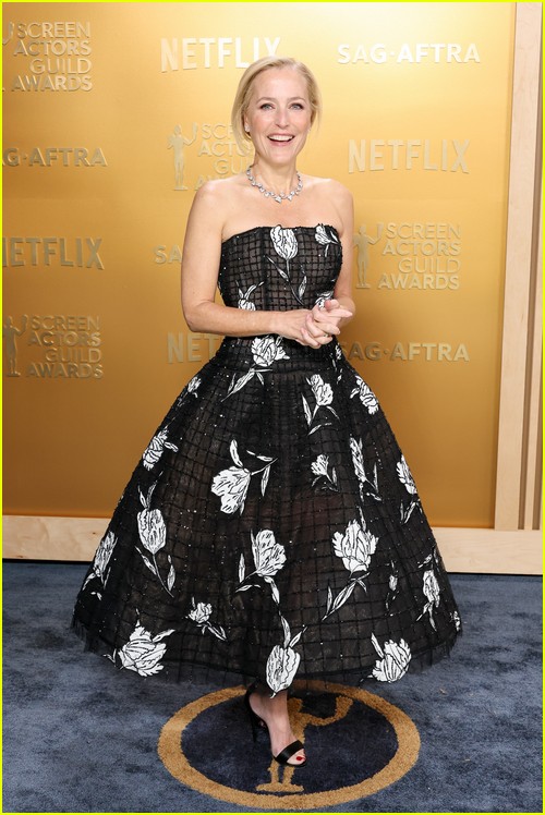 SAG Awards red carpet