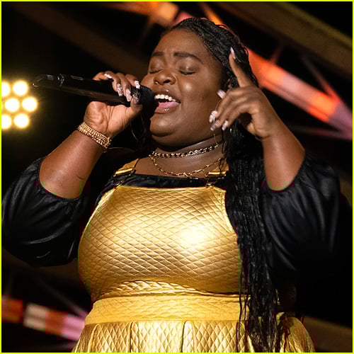 ‘American Idol’ 2025 Top 24 Contestants Revealed for Season 22 Watch