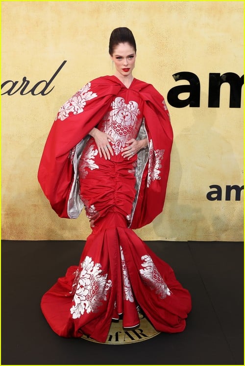 Amfar Cannes Gala 2025