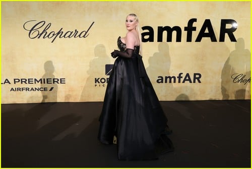 Amfar Cannes Gala 2025