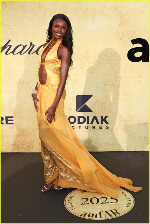Amfar Cannes Gala 2025