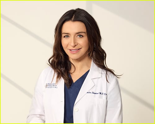 Greys anatomy star taking break from show