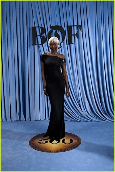 Celebs at the BoF 500 Gala