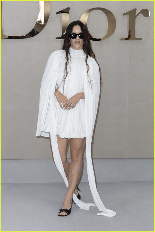 dior show