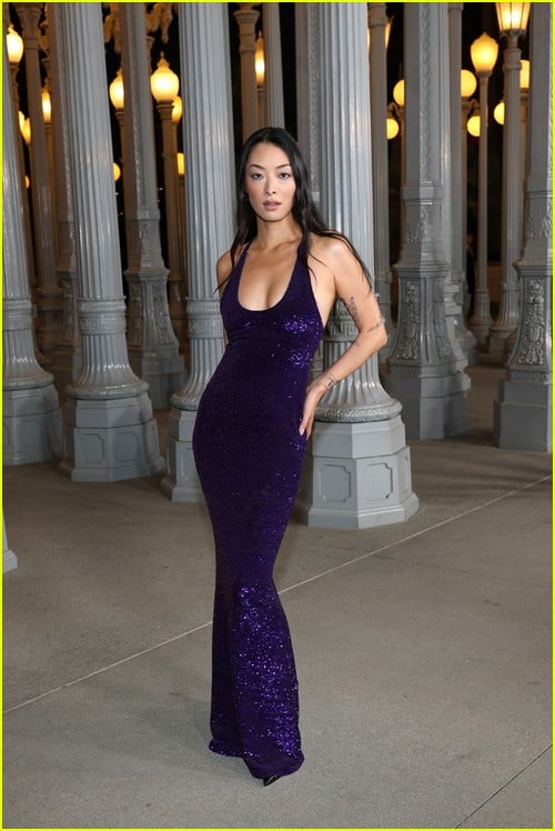 LACMA Art Film Gala attendees