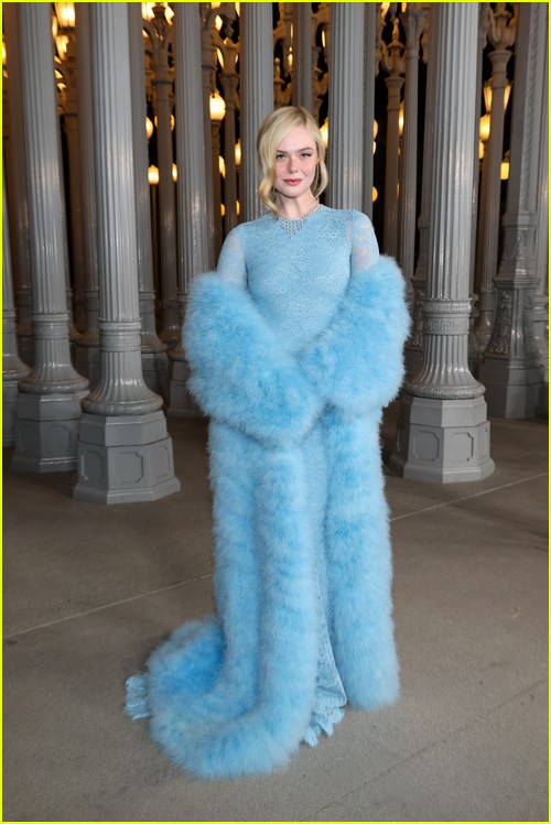 LACMA Art Film Gala attendees