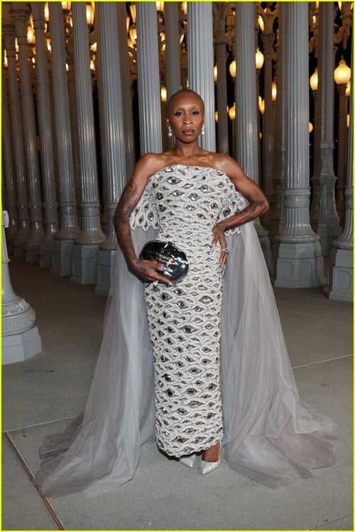 LACMA Art Film Gala attendees