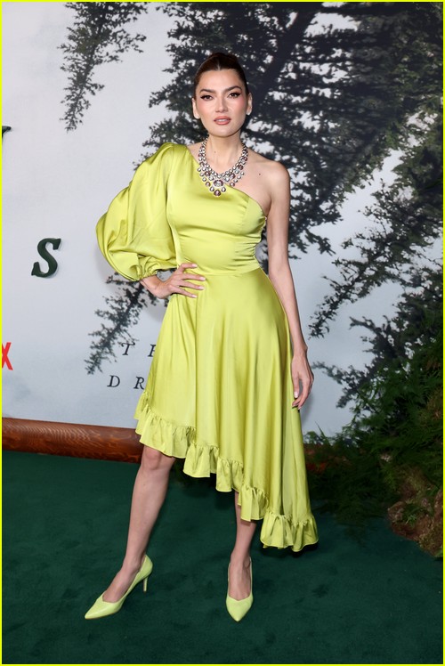 Train Dreams premiere photos