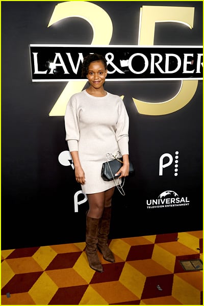 estrelas presentes no 25º aniversário de Law & Order