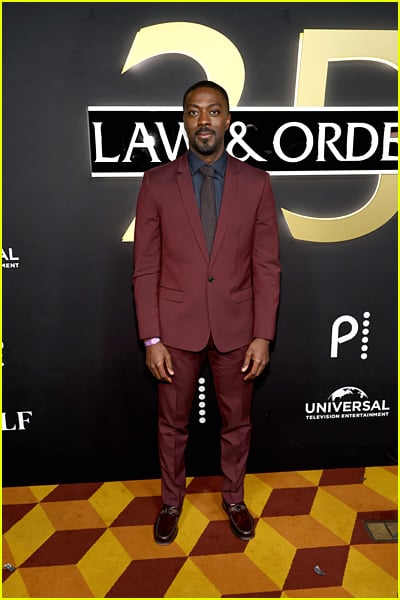 estrelas presentes no 25º aniversário de Law & Order