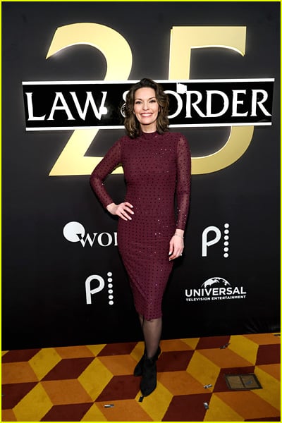 estrelas presentes no 25º aniversário de Law & Order