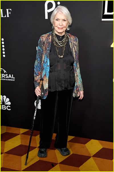 estrelas presentes no 25º aniversário de Law & Order