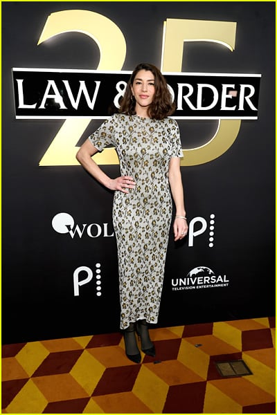 estrelas presentes no 25º aniversário de Law & Order