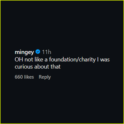 Amanda Seyfried's Instagram comment