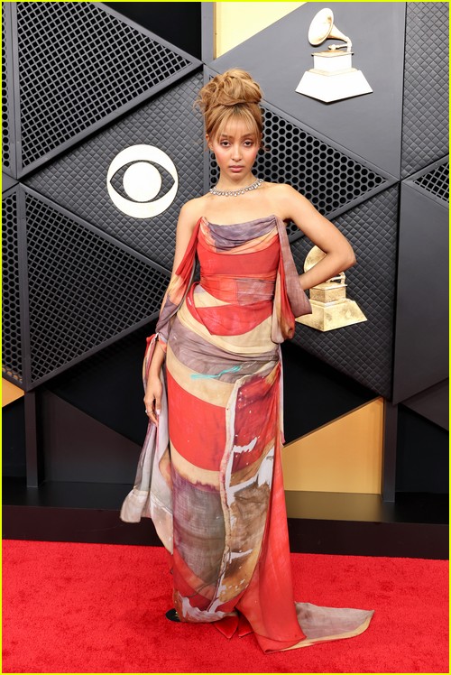 Grammys red carpet