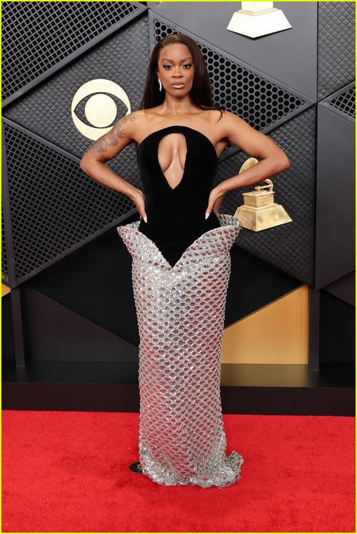 Grammys red carpet