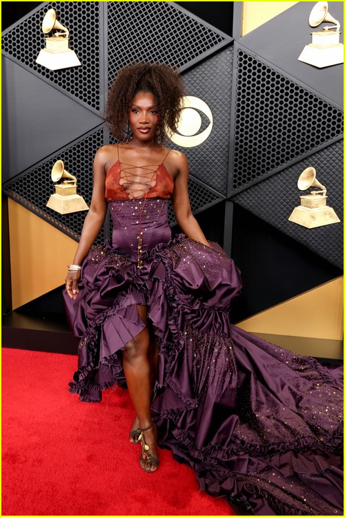 Grammys red carpet