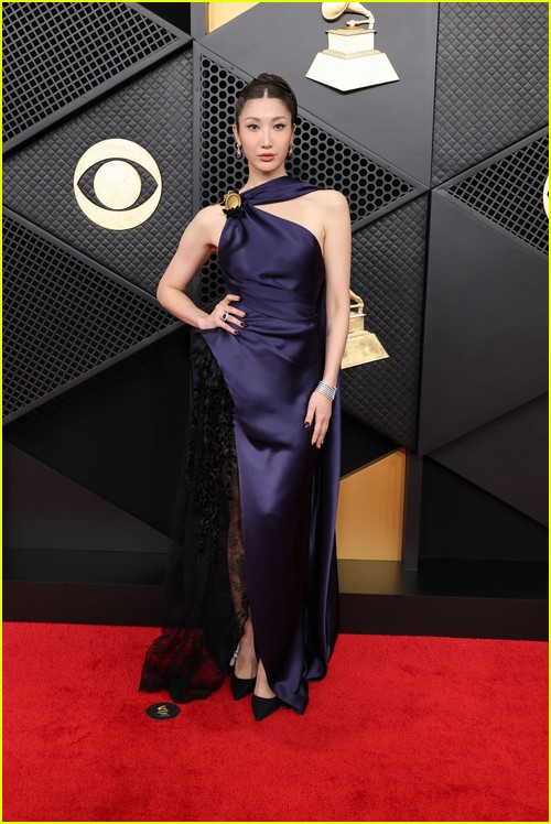 Grammys red carpet