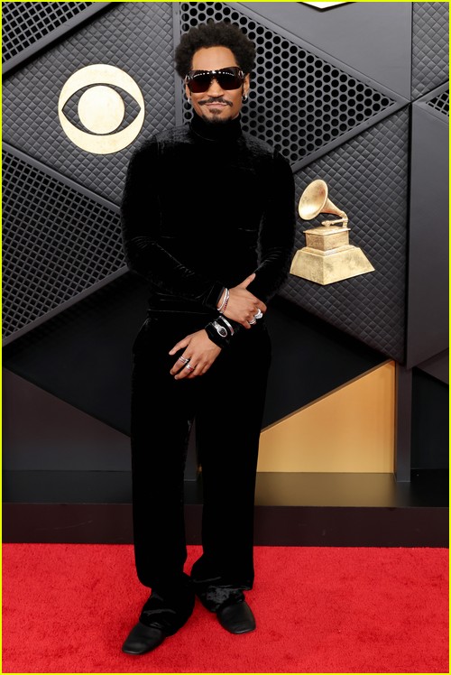 Grammys red carpet