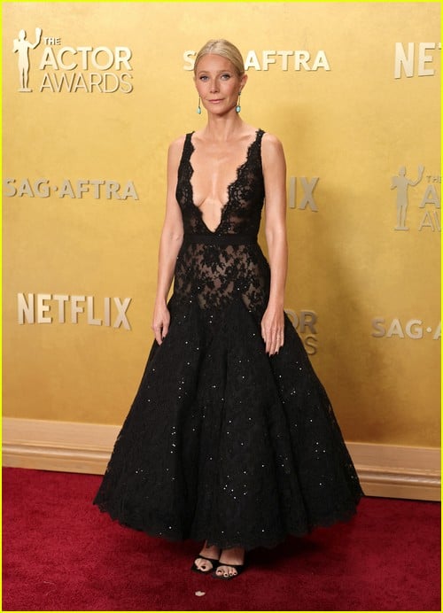 Actor Awards red carpet