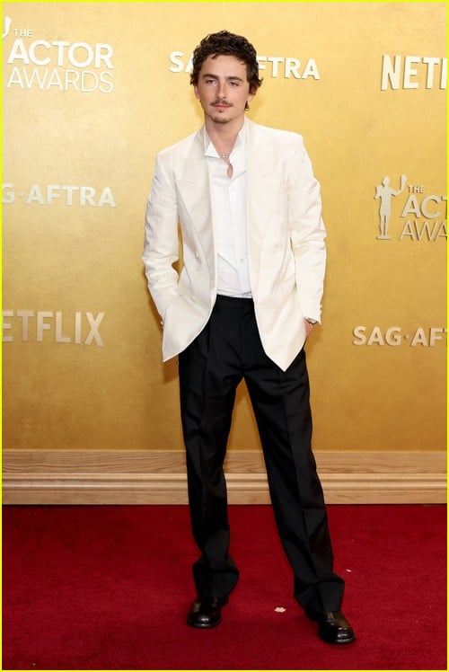 Actor Awards red carpet