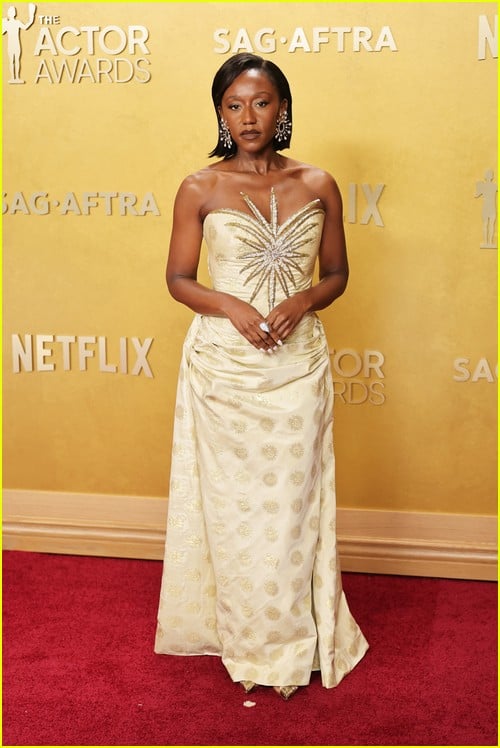 Prêmios de tapete vermelho de ator