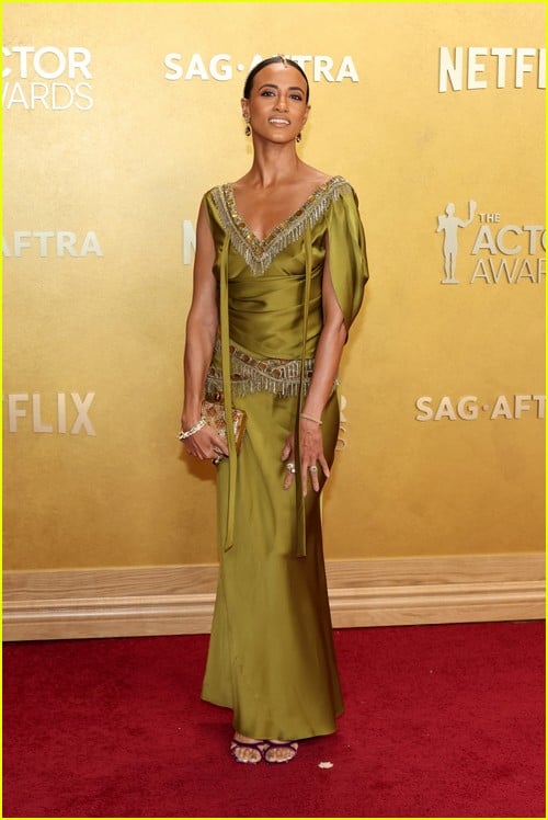 Prêmios de tapete vermelho de ator