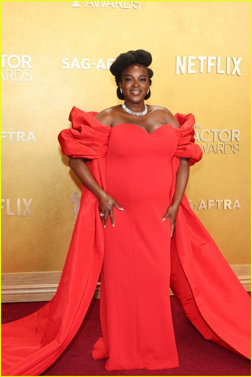 Prêmios de tapete vermelho de ator