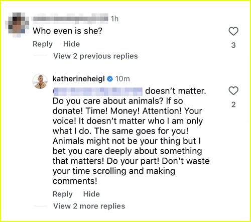 Katherine Heigl comments