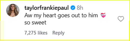 Taylor Frankie Paul comment