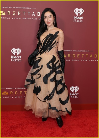 Celebridades na Gala Inesquecível