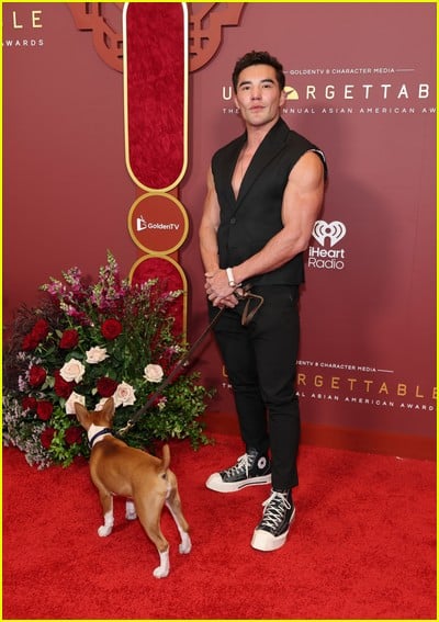 Celebridades na Gala Inesquecível