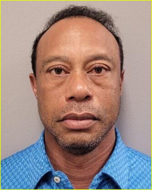 tiger woods mugshot