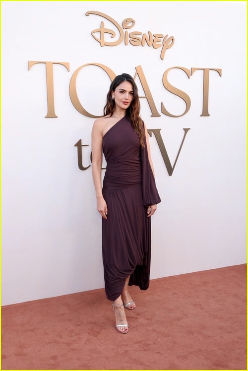 Disney Emmy Toast to TV